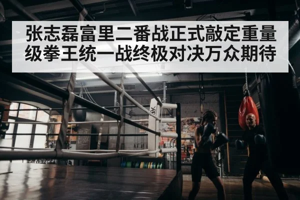 boxer training