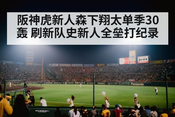 baseball stadium night game